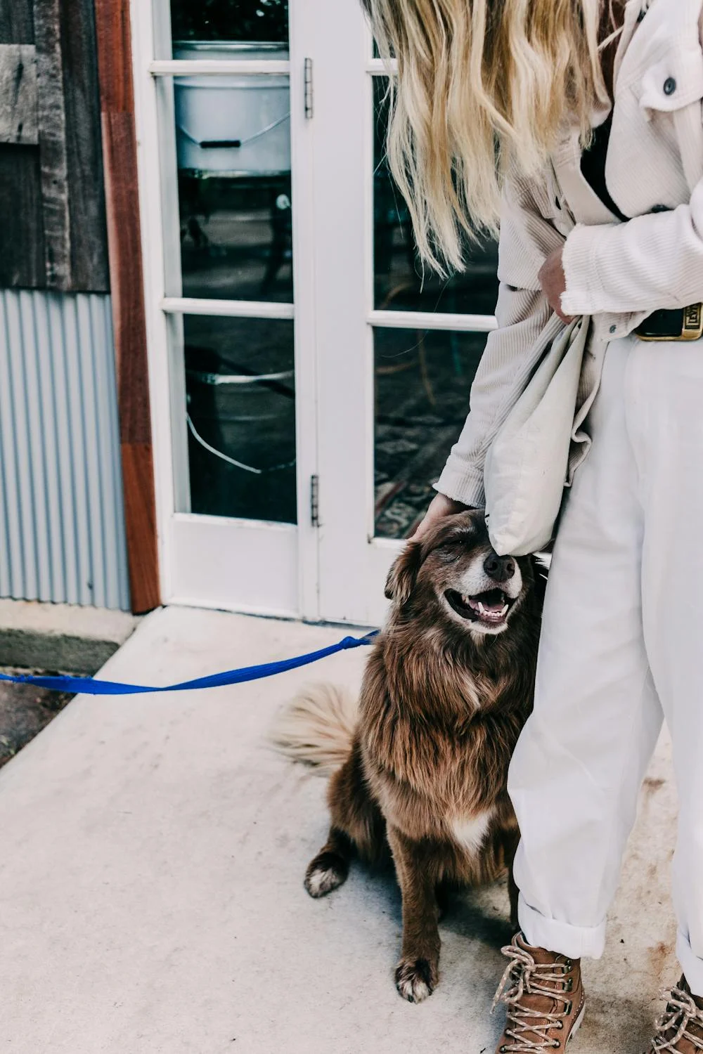 dog leaning into a woman's leg